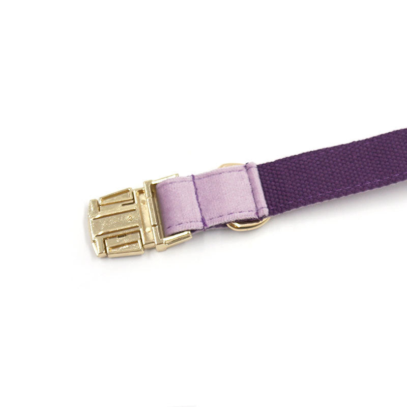 Velvet Lead, Collar, Bow-tie and rubbish bag dispenser bundle