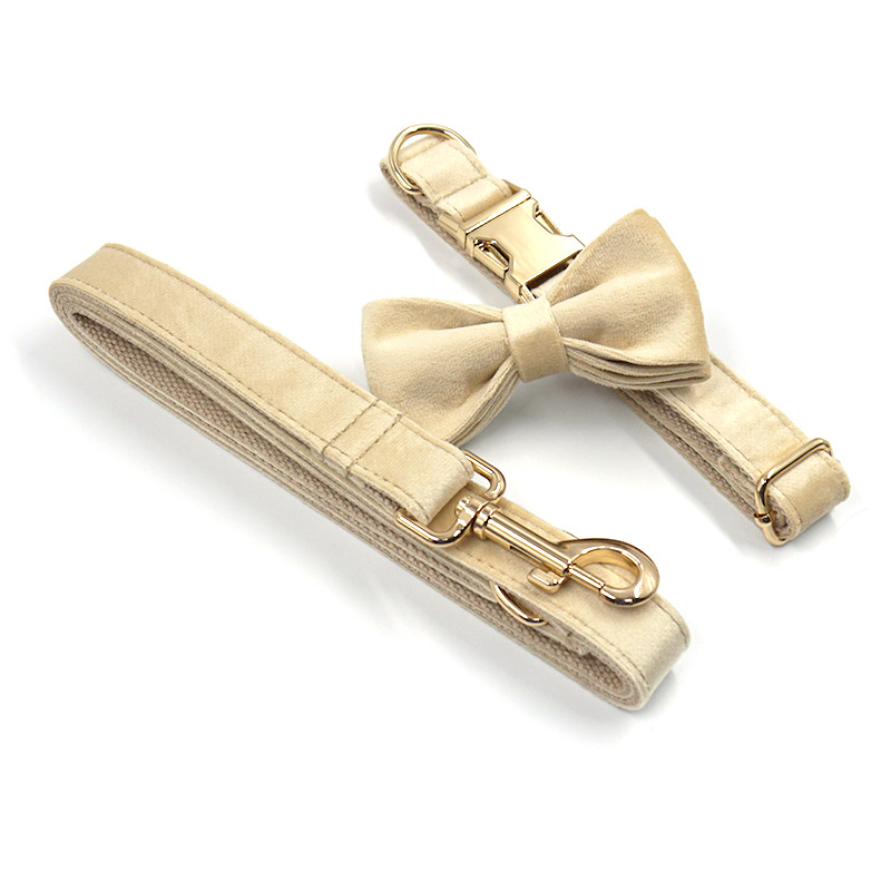 Velvet Lead, Collar, Bow-tie and rubbish bag dispenser bundle