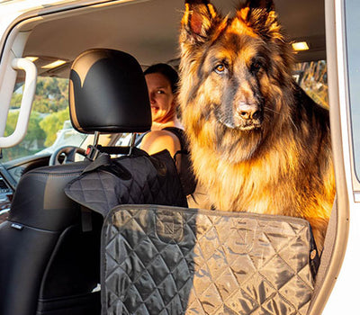 Tidy Traveller®