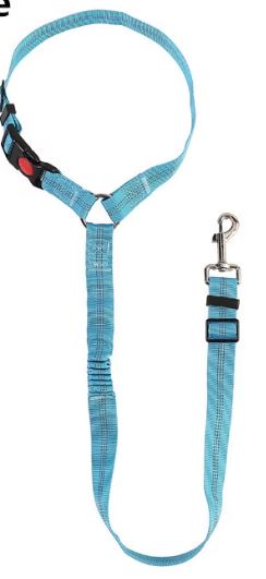 Car Headrest Pet Restraint with Bungee