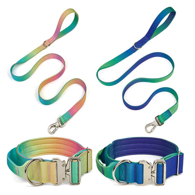 Tie Dye Nylon Dog Collar & Lead (POS Only)