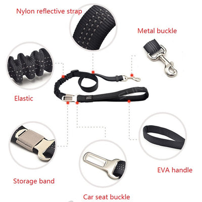 Dog Lead with bungee and hidden seat belt attachment