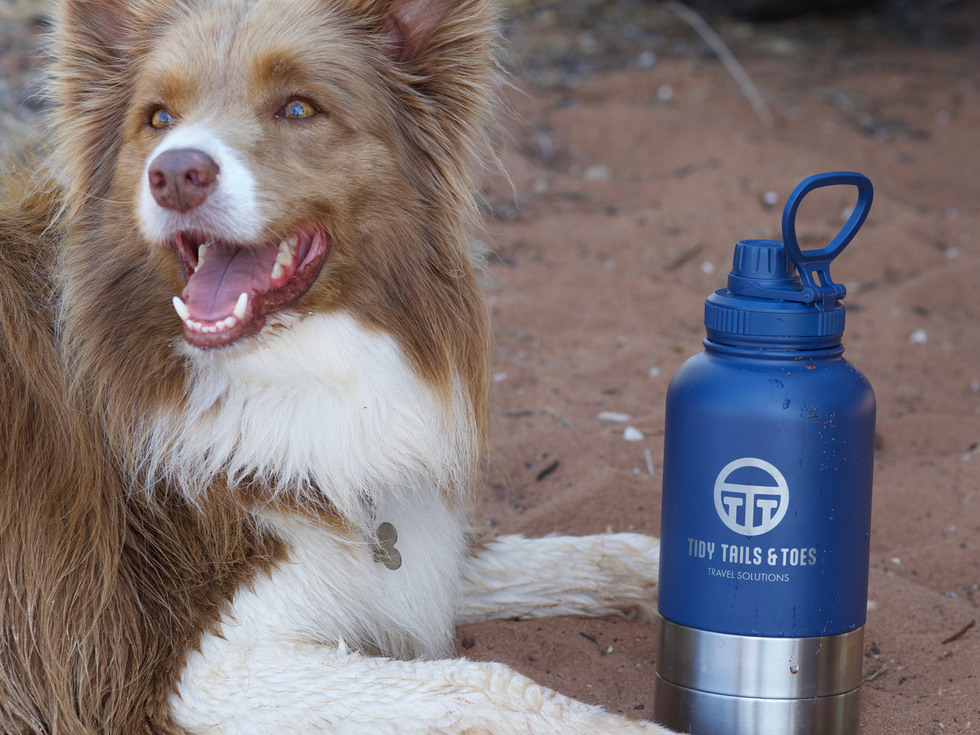 3 in 1 Stainless Steel Insulation Portable Travel Water and Food Bottle / Bento Cylinder