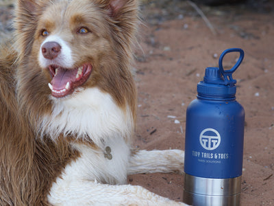 3 in 1 Stainless Steel Insulation Portable Travel Water and Food Bottle / Bento Cylinder