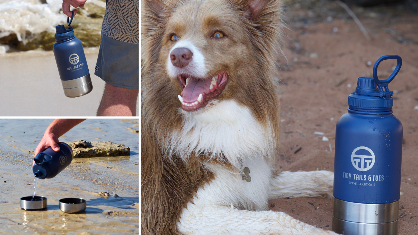 3 in 1 Stainless Steel Insulation Portable Travel Water and Food Bottle / Bento Cylinder